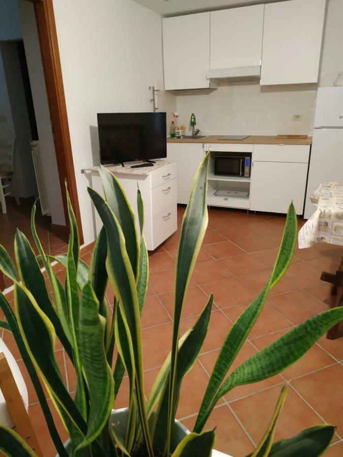 Gemini Apartamento